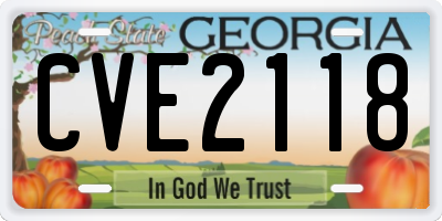 GA license plate CVE2118