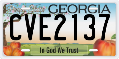 GA license plate CVE2137