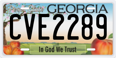 GA license plate CVE2289