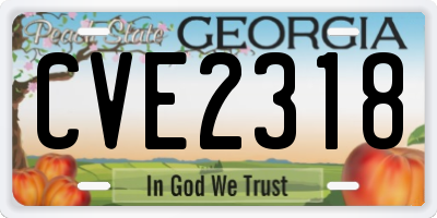 GA license plate CVE2318