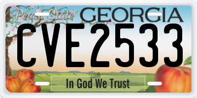 GA license plate CVE2533