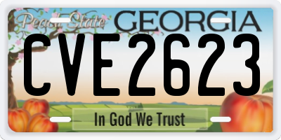 GA license plate CVE2623