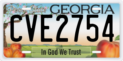 GA license plate CVE2754