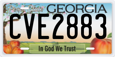 GA license plate CVE2883