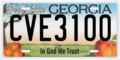 GA license plate CVE3100