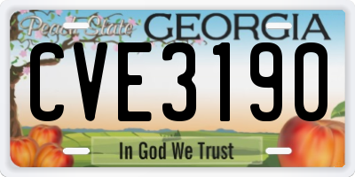 GA license plate CVE3190