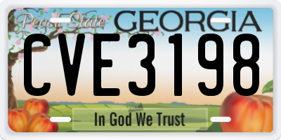 GA license plate CVE3198