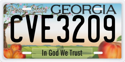 GA license plate CVE3209