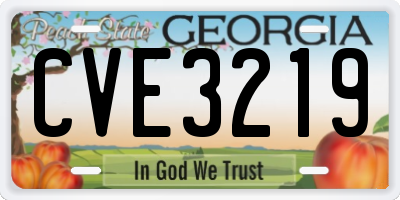 GA license plate CVE3219