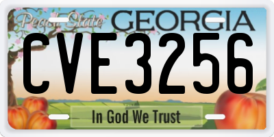 GA license plate CVE3256