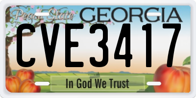 GA license plate CVE3417