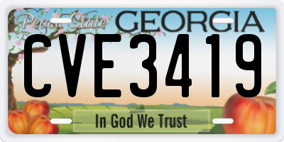 GA license plate CVE3419