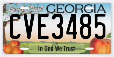 GA license plate CVE3485