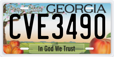 GA license plate CVE3490