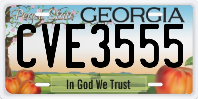 GA license plate CVE3555