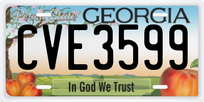 GA license plate CVE3599
