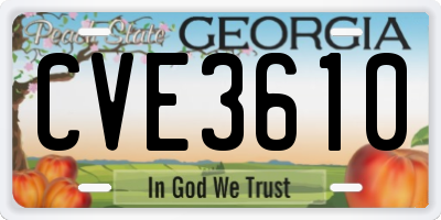 GA license plate CVE3610