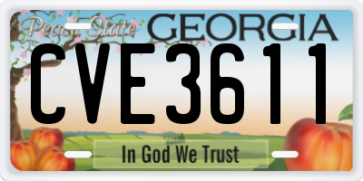 GA license plate CVE3611