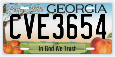 GA license plate CVE3654