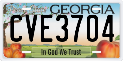 GA license plate CVE3704