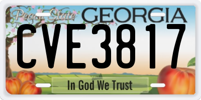 GA license plate CVE3817