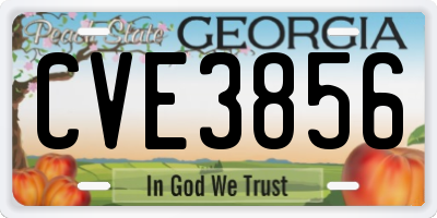 GA license plate CVE3856