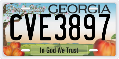 GA license plate CVE3897