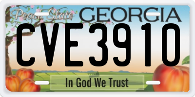 GA license plate CVE3910