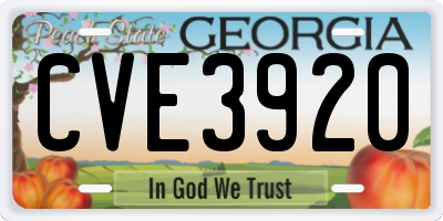 GA license plate CVE3920
