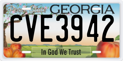 GA license plate CVE3942