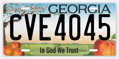 GA license plate CVE4045