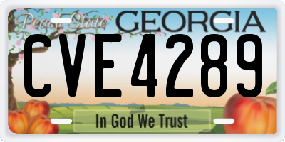 GA license plate CVE4289