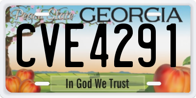 GA license plate CVE4291