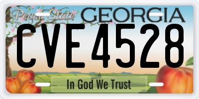 GA license plate CVE4528
