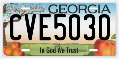 GA license plate CVE5030