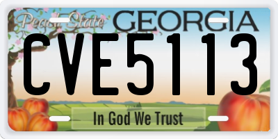 GA license plate CVE5113