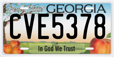 GA license plate CVE5378