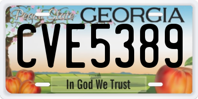 GA license plate CVE5389