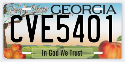 GA license plate CVE5401