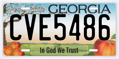 GA license plate CVE5486