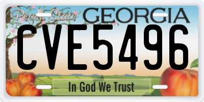 GA license plate CVE5496