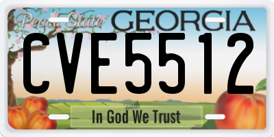 GA license plate CVE5512