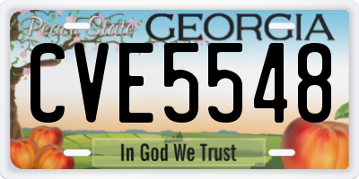 GA license plate CVE5548