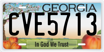 GA license plate CVE5713
