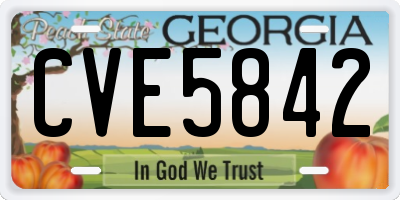GA license plate CVE5842