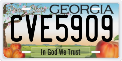 GA license plate CVE5909