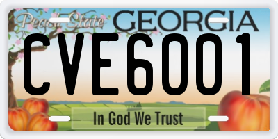 GA license plate CVE6001