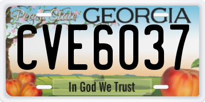 GA license plate CVE6037