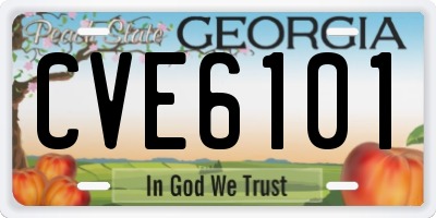 GA license plate CVE6101