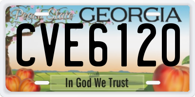 GA license plate CVE6120